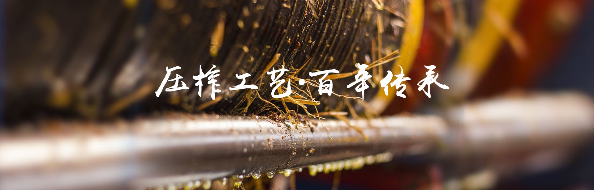 ng电子游戏_油茶种植出产加工销售|植物油种植出产加工销售 ng电子游戏_油茶种植出产加工销售|植物油种植出产加工销售